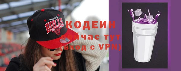 дживик Туринск