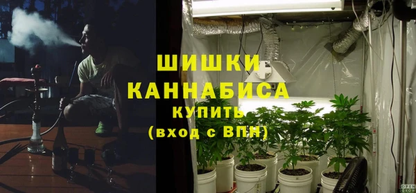 трава Магас