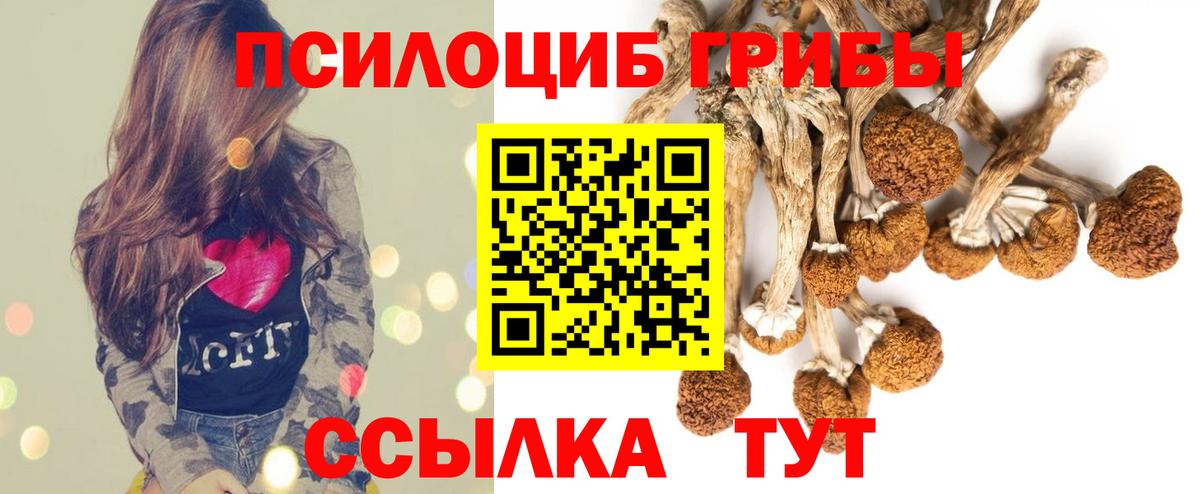Псилоцибиновые грибы Magic Shrooms Апатиты
